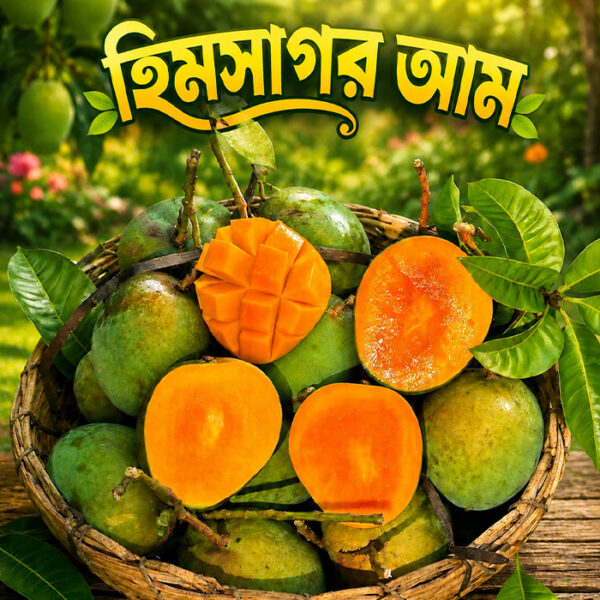 সাতক্ষীরার হিমসাগর আম (২০ কেজি)