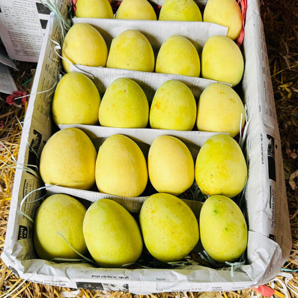 গৌড়মতি আম (ব্যাগিং) (১০ কেজি)
